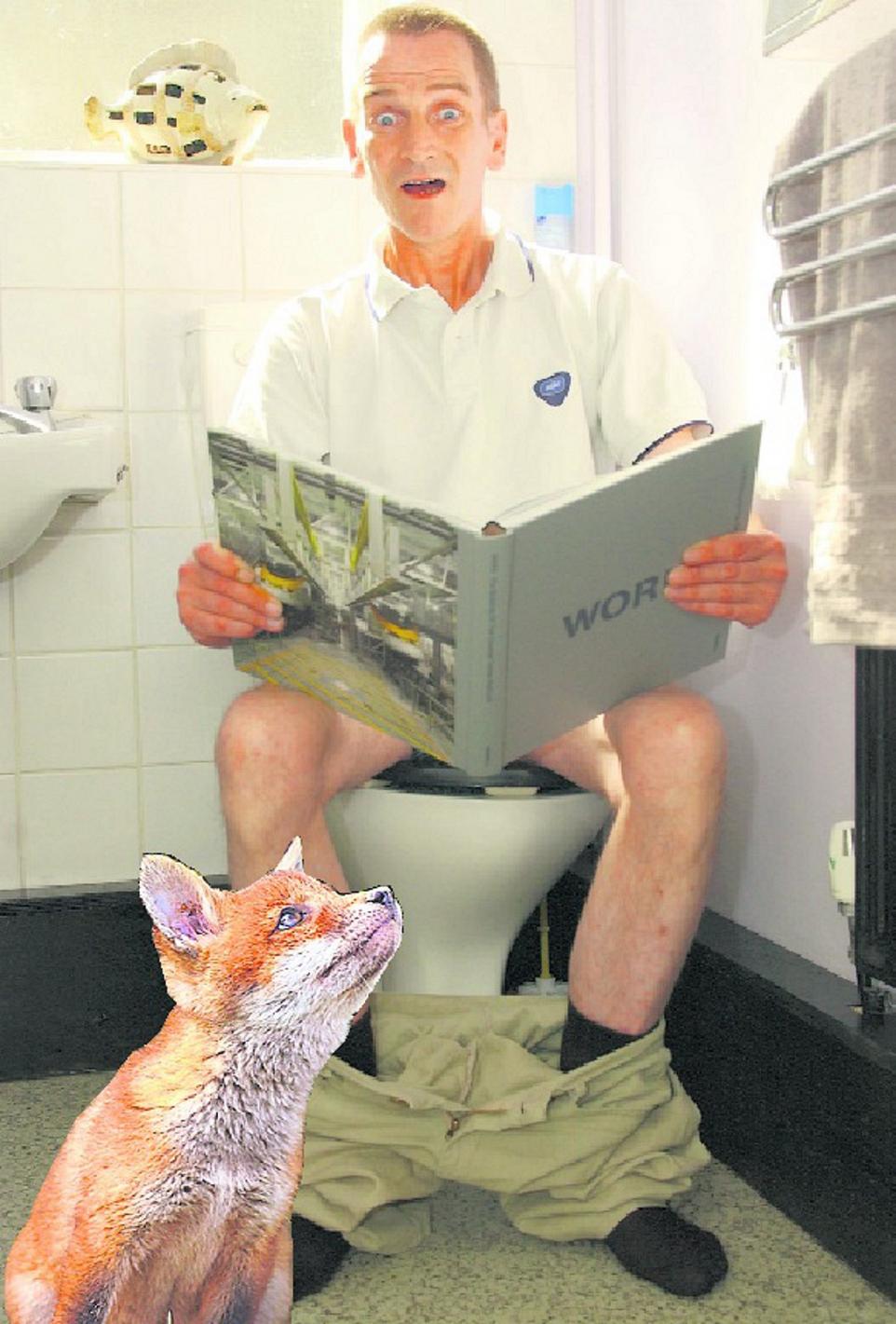 Catford fox horror for man on toilet